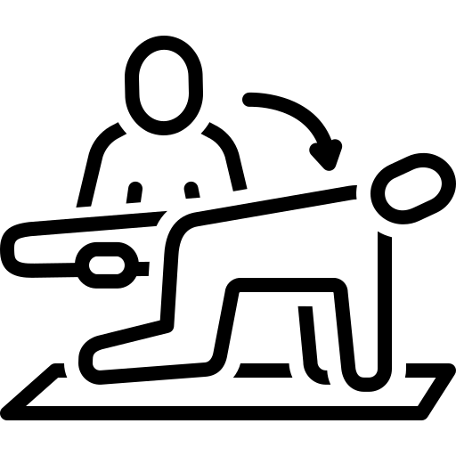 Icon MAvisio